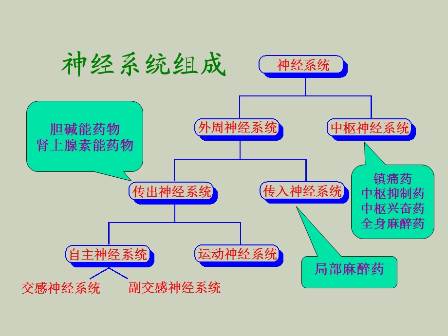 药物合成-拟胆碱药.ppt_第2页