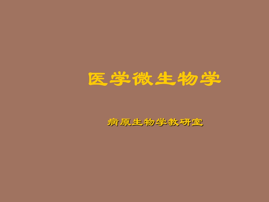 细菌的形态学.ppt_第1页