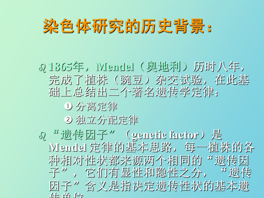 真核基因的结构与功能.ppt_第3页