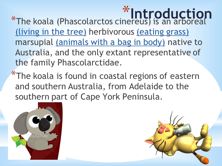 英文介绍考拉-Koala.ppt_第3页