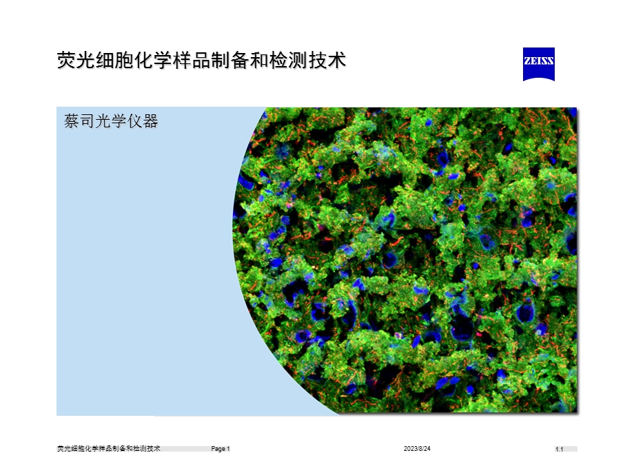 荧光细胞化学样品制备和检测.ppt_第1页