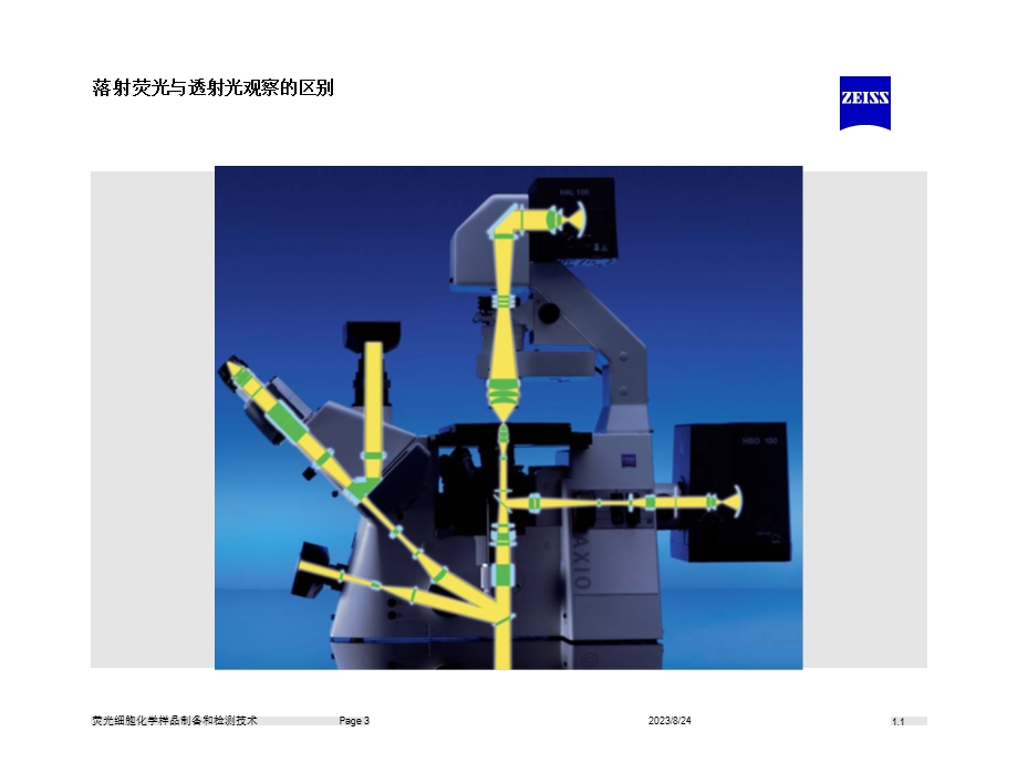 荧光细胞化学样品制备和检测.ppt_第3页