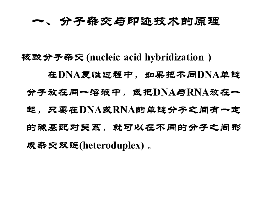 自学内容2分子杂交技术.ppt_第2页