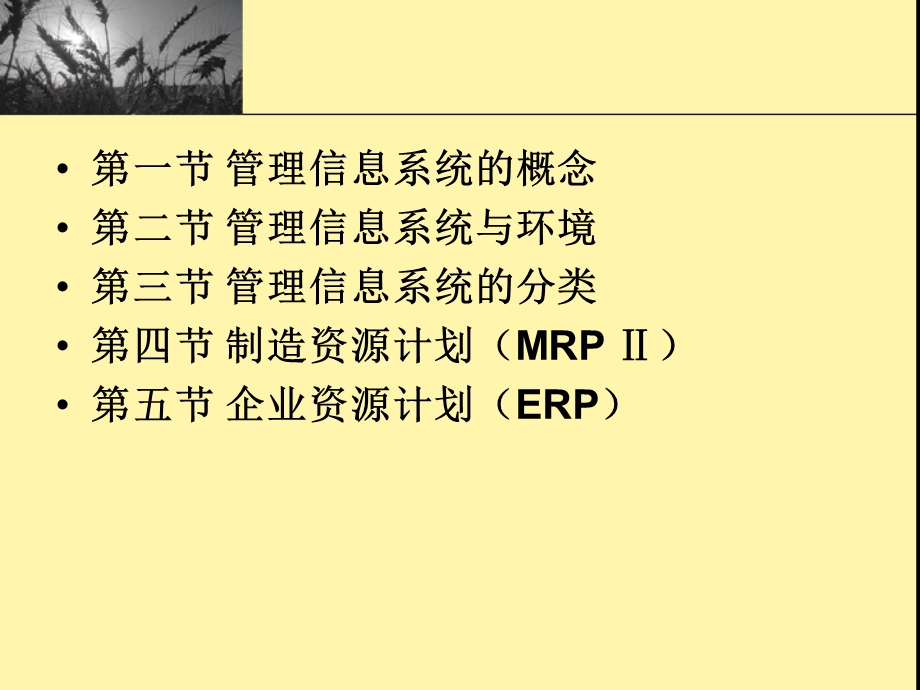 管理信息系统概述.ppt_第2页