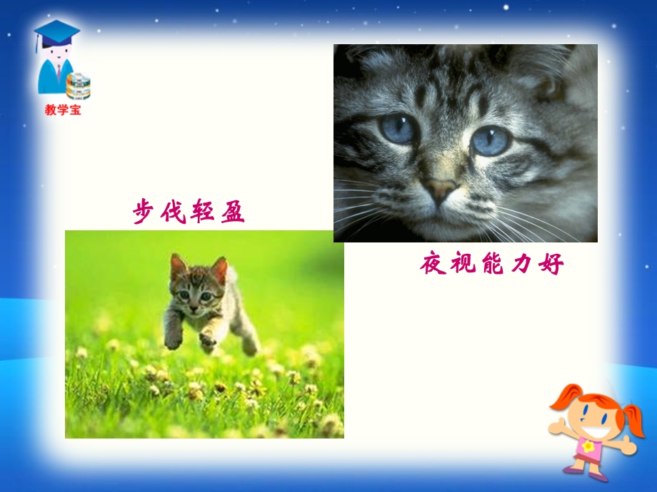 26课猫教学课件.ppt_第3页