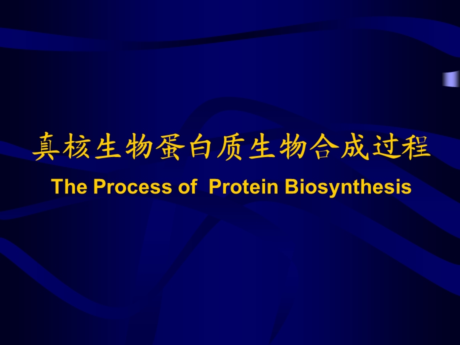 真核蛋白质的生物合成(翻译).ppt_第1页