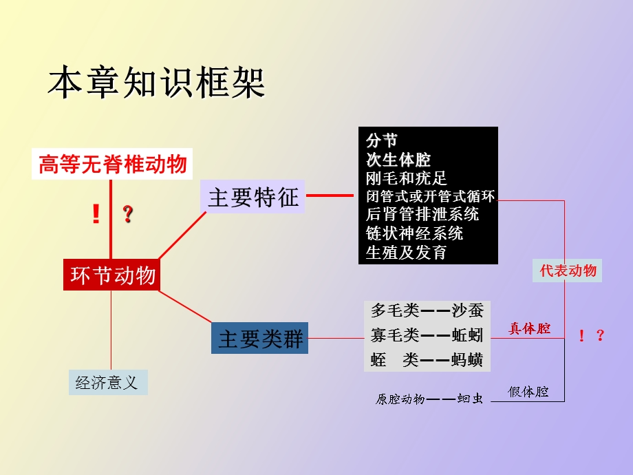 真体腔分节环节动物门七.ppt_第3页