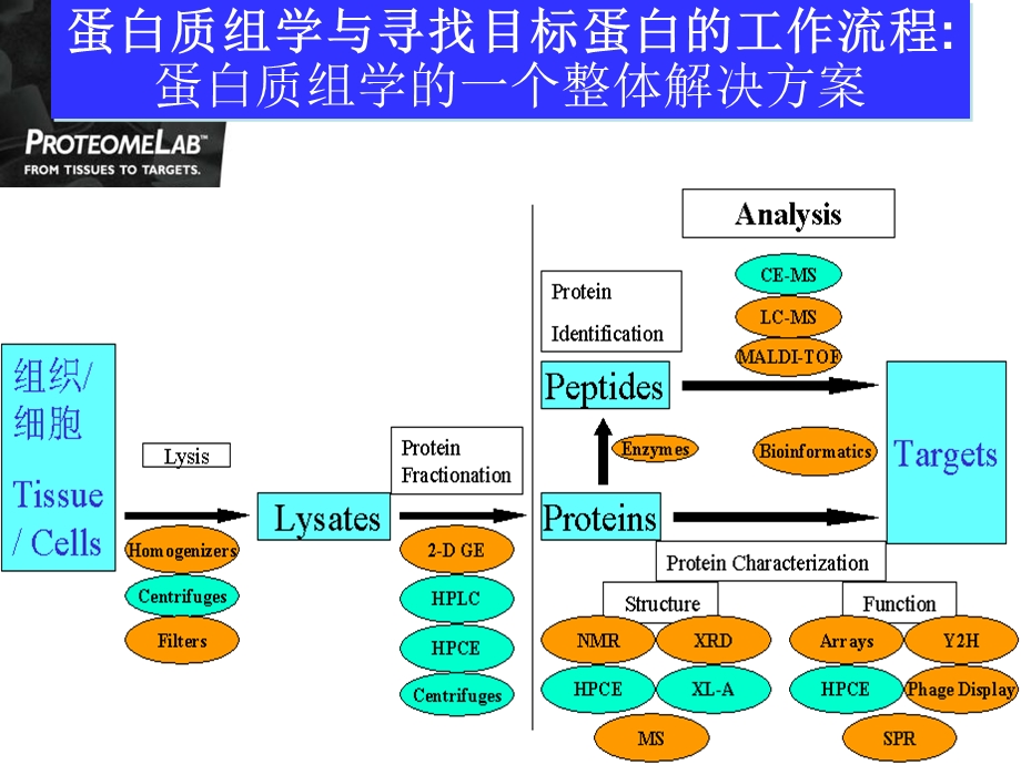 目标蛋白质快速分离系统.ppt_第3页