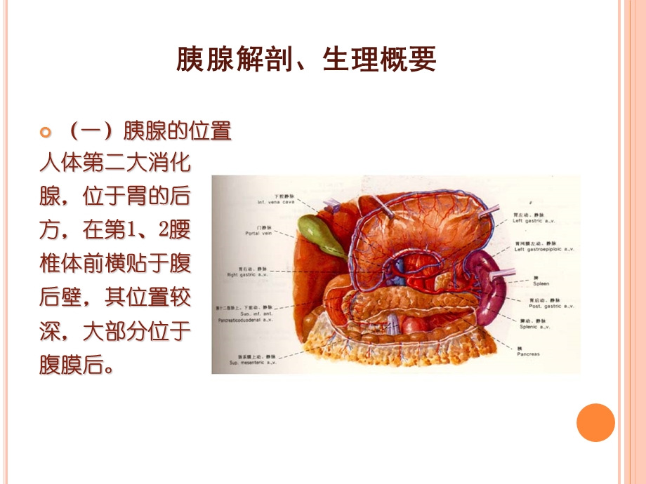 胰腺炎护理查房.ppt_第3页