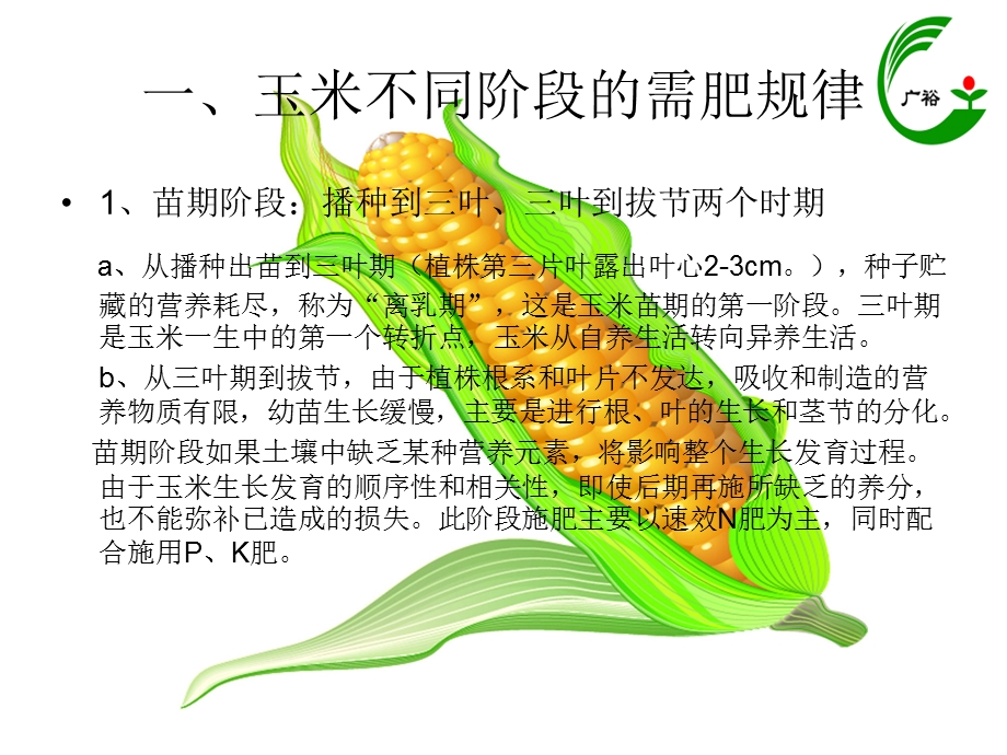 玉米的施肥规律.ppt_第3页