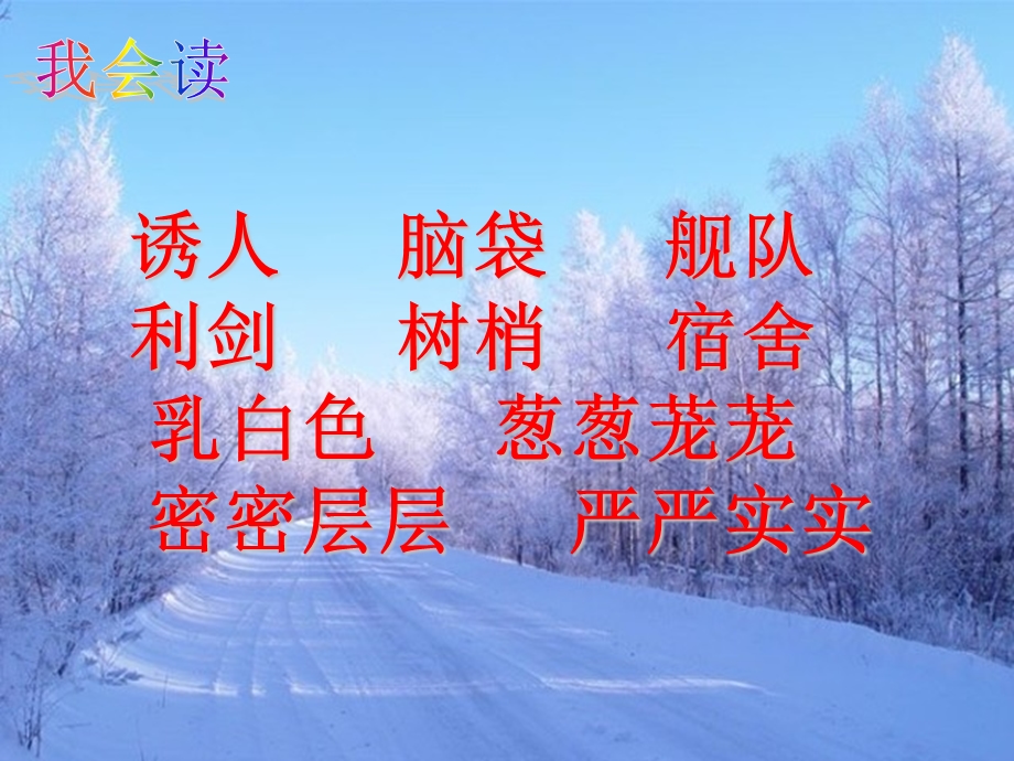 美丽的小兴安岭-优秀课件.ppt_第2页