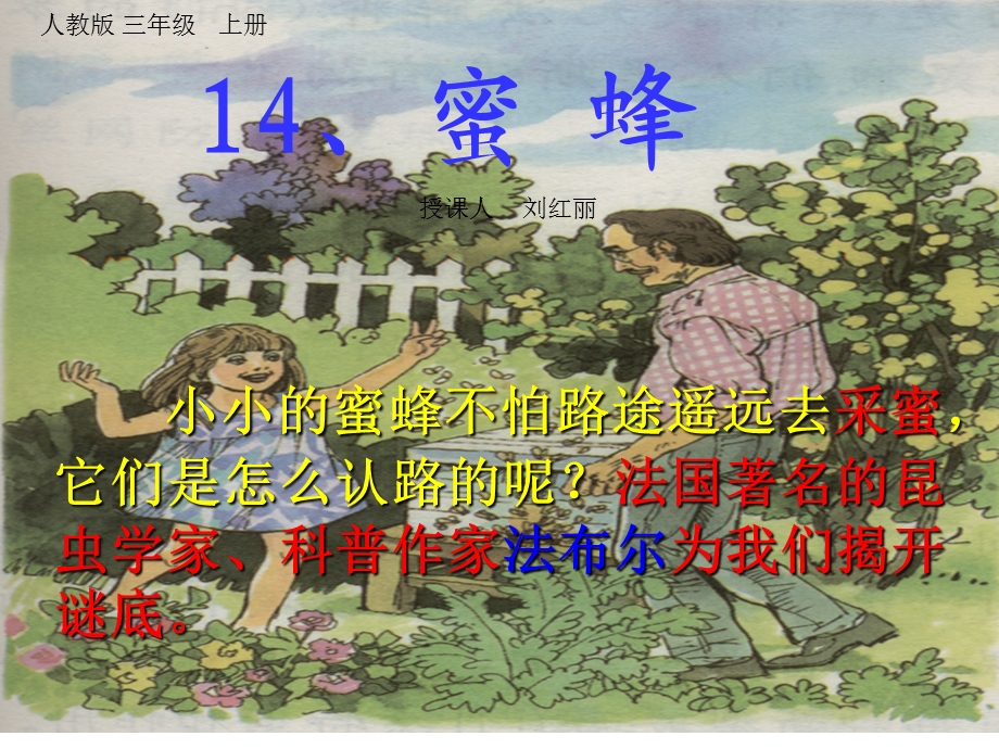 14.蜜蜂PPT课件(刘红丽).ppt_第2页