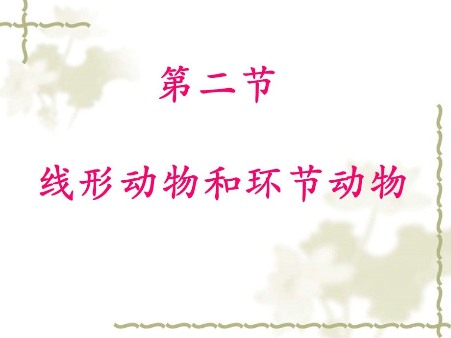 第二节线形动物和环节动物上课.ppt_第2页