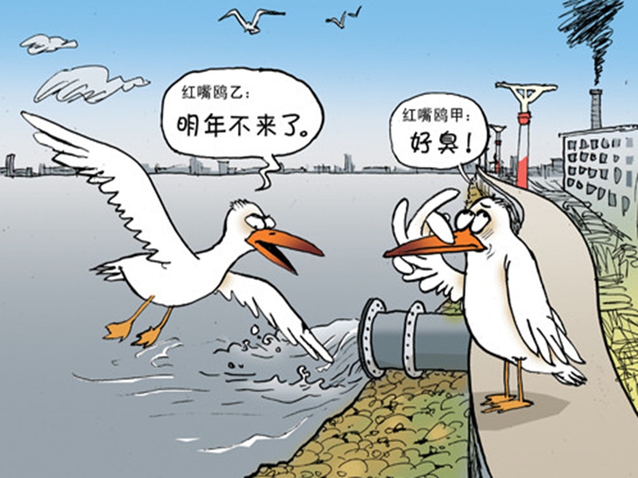 中国水环境污染的现状与对策(教育版).ppt_第3页