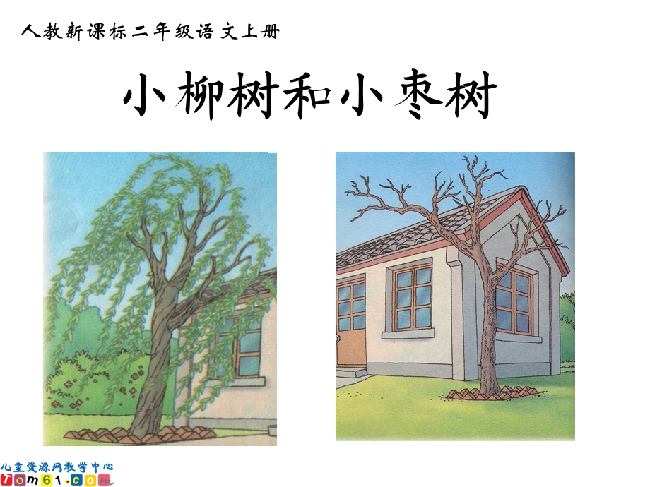 (人教新课标)二年级语文上册课件小柳树和小枣树.ppt_第1页