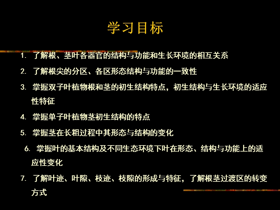 《植物学教学资料》第三章营养器官-根.ppt_第3页