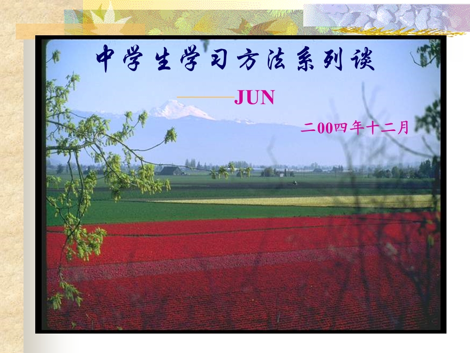 中学生学习方法系列谈.ppt_第1页