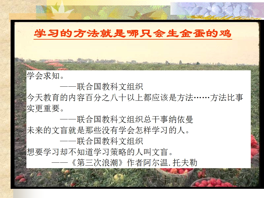 中学生学习方法系列谈.ppt_第3页