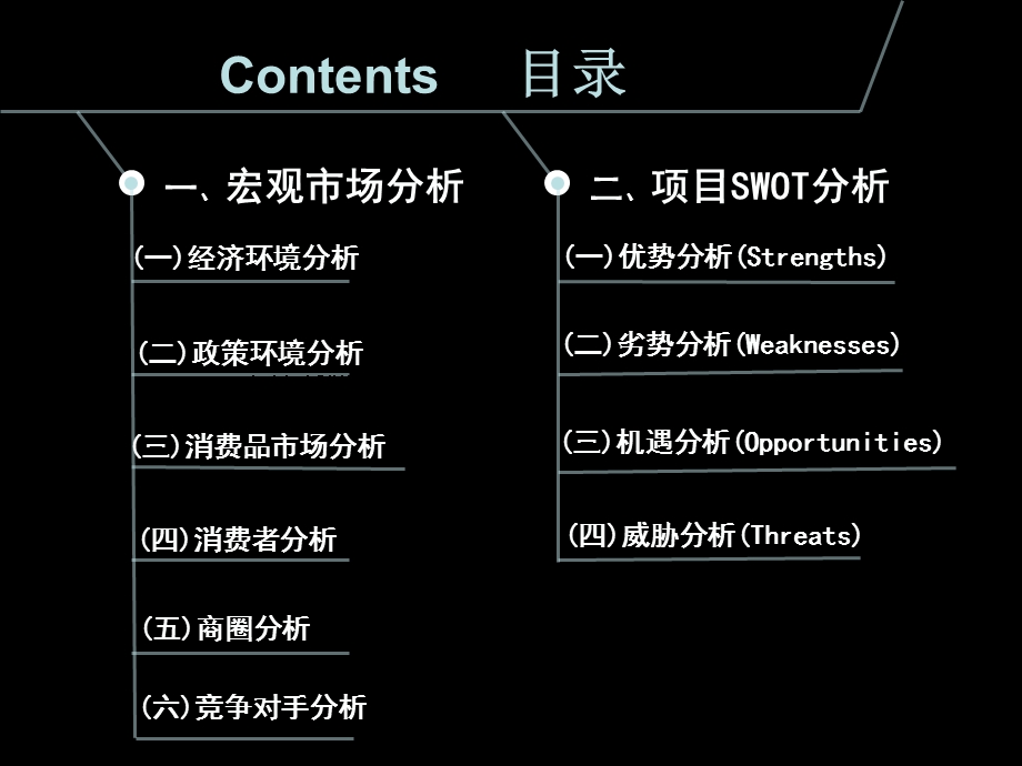 项目分析调研报告.ppt_第2页