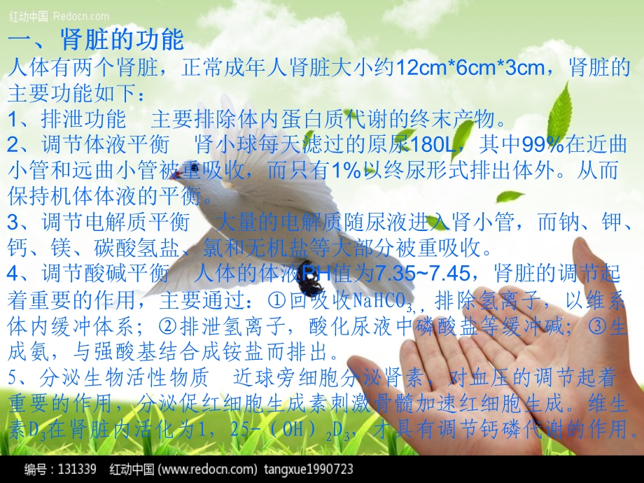 血液透析指征的选择.ppt_第2页