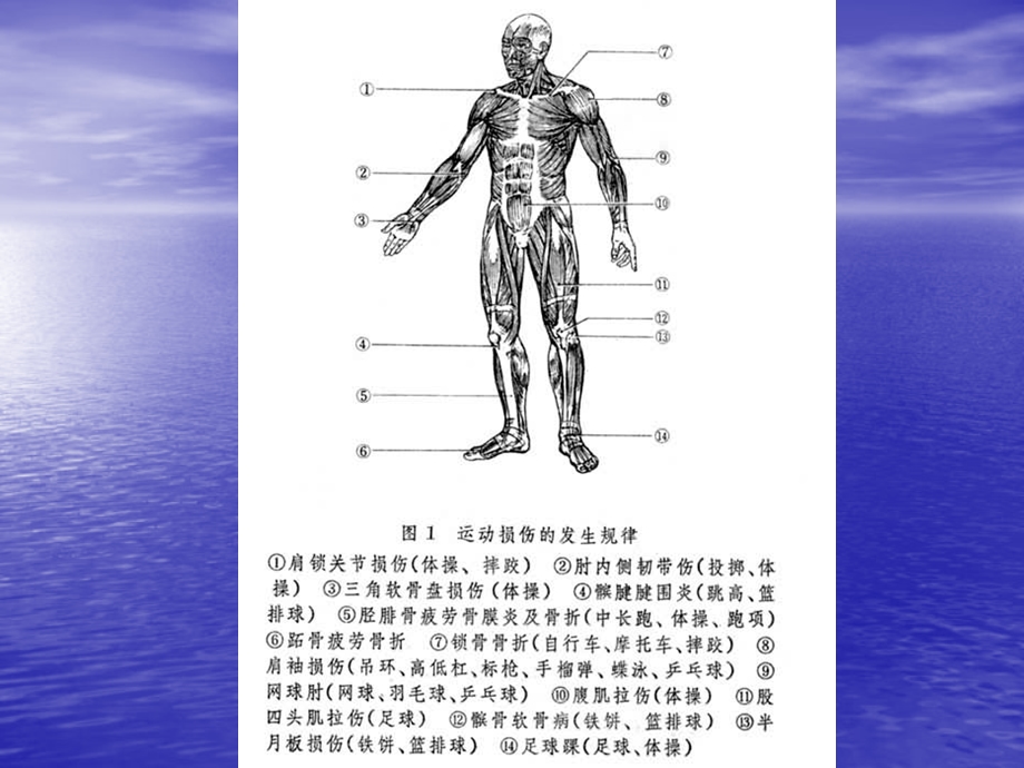 运动损伤的应急处理ppt课件.ppt_第3页