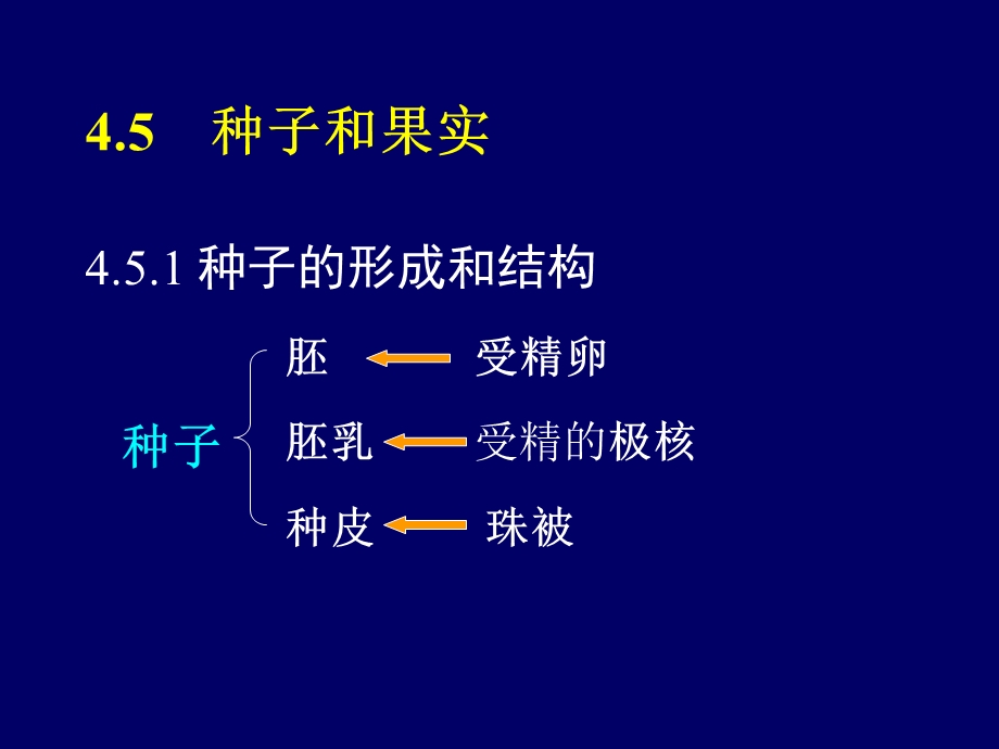 《植物学教学资料》第六节种子和果实.ppt_第1页