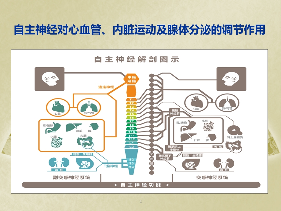 长托宁利于全麻醉管理.ppt_第2页