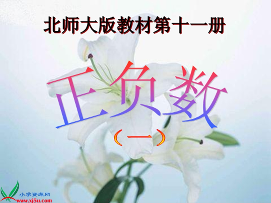 (北师大版)六年级数学上册课件正负数.ppt_第1页