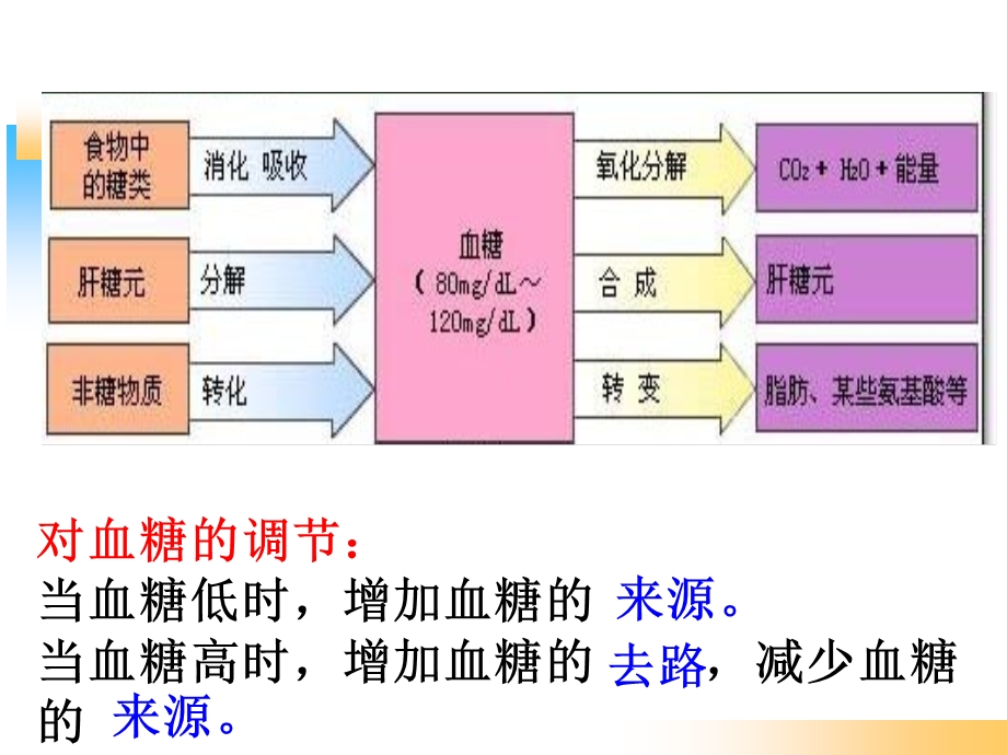 血糖平衡调节过程.ppt_第2页