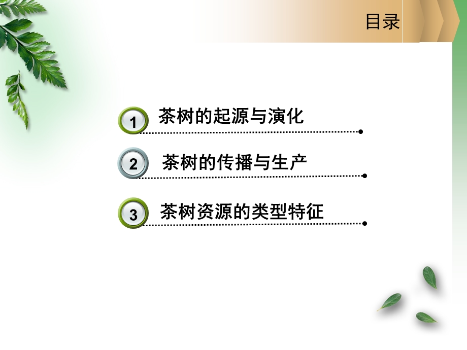 项目一茶树起源及生态特征.ppt_第3页