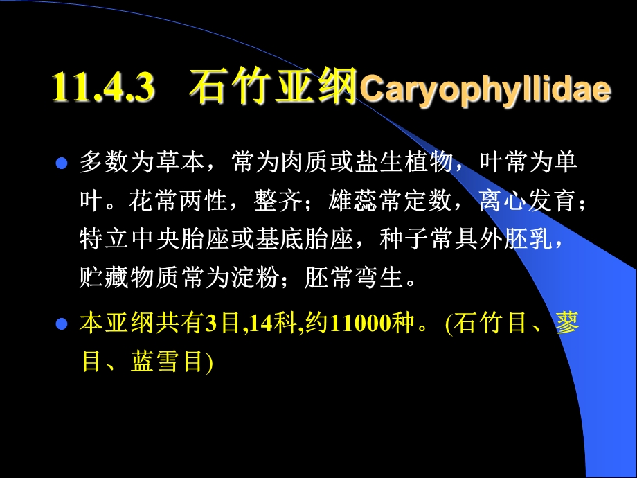 《植物学教学资料》石竹科亚纲.ppt_第1页