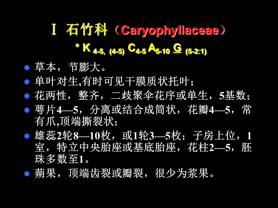 《植物学教学资料》石竹科亚纲.ppt_第2页