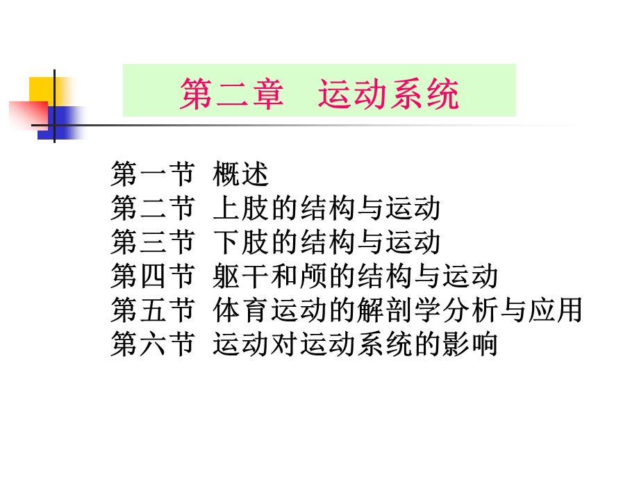 运动系统概述.ppt_第1页