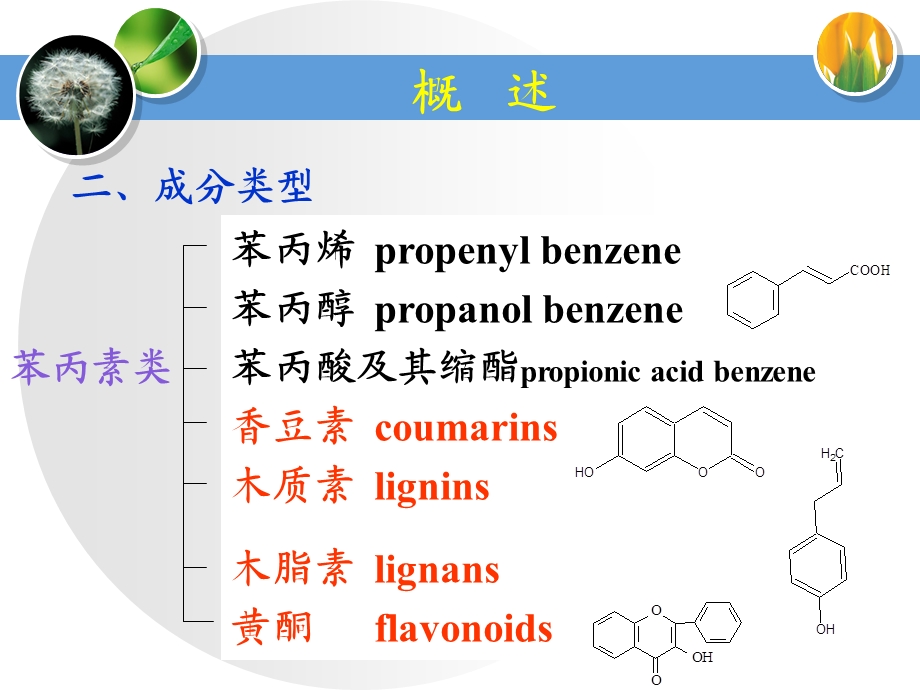 香豆素与木脂素.ppt_第3页