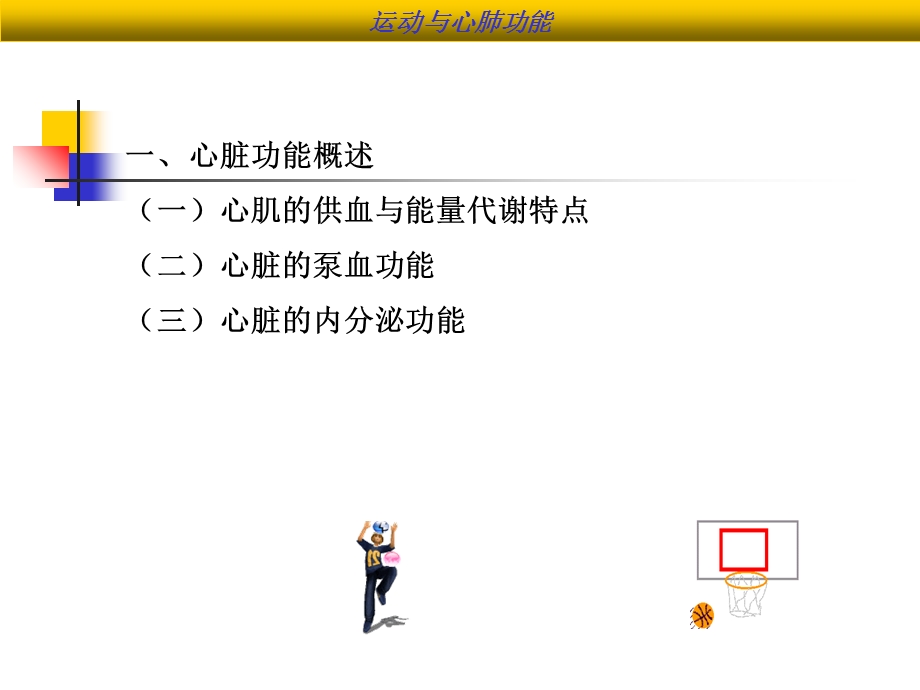 运动与心肺功能.ppt_第3页