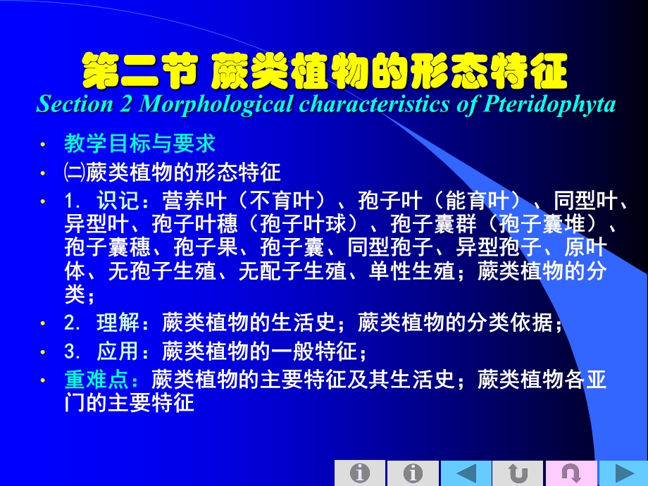 蕨类植物的形态特征.ppt_第1页