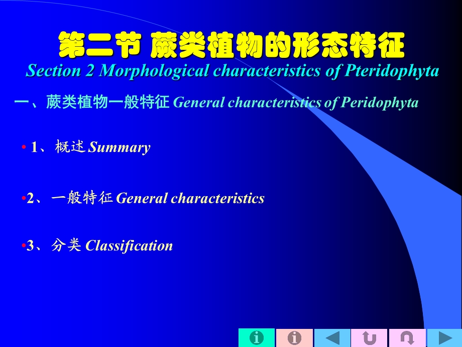 蕨类植物的形态特征.ppt_第3页