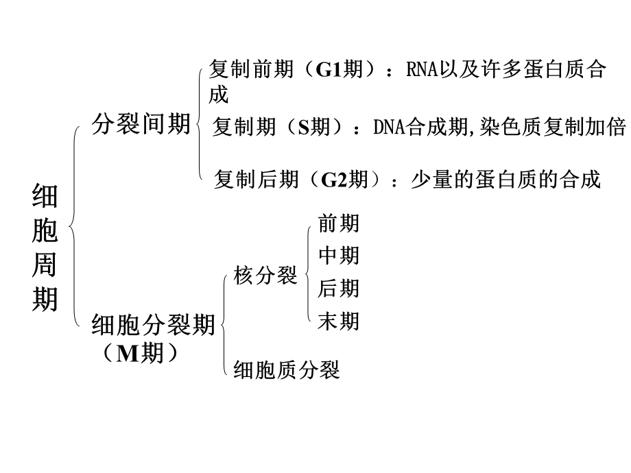 《植物学教学资料》第2章细胞与组织2马炜梁版.ppt_第3页