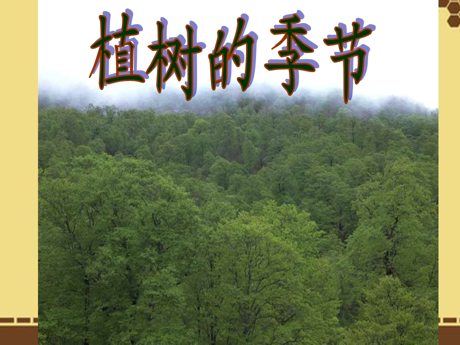 北师大版二年级语文下册课件植树的季节.ppt_第1页