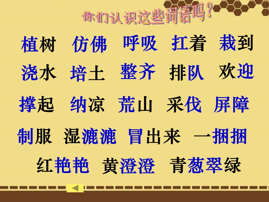 北师大版二年级语文下册课件植树的季节.ppt_第3页