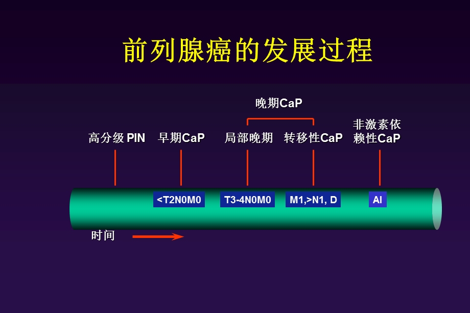 前列腺癌的cab及iht治疗.ppt_第2页