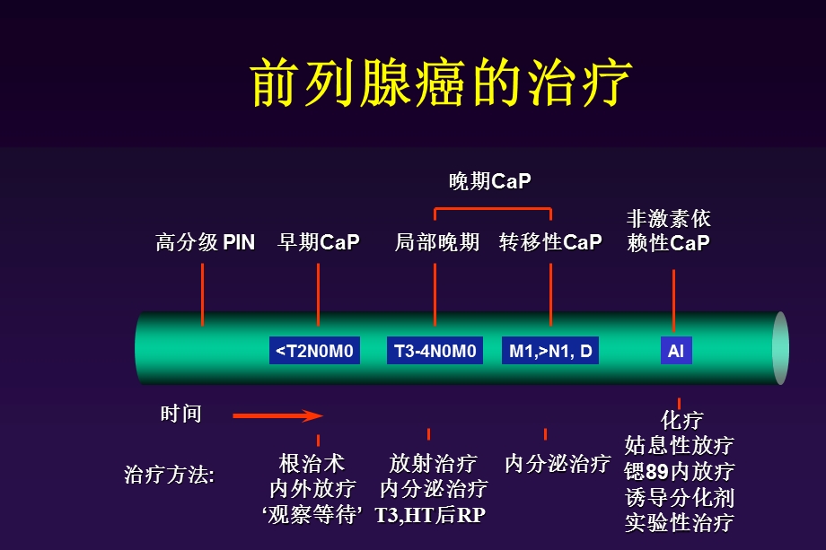 前列腺癌的cab及iht治疗.ppt_第3页