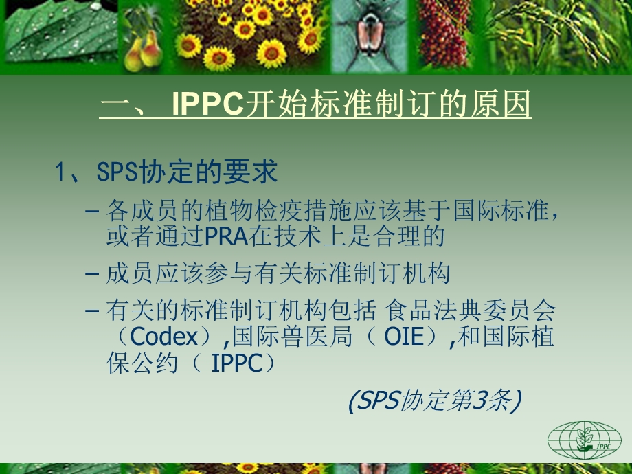 国际植物检疫标准制订吴立峰全国农业技术推广服务中心.ppt_第3页