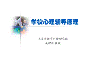 学校心理辅导原理.ppt