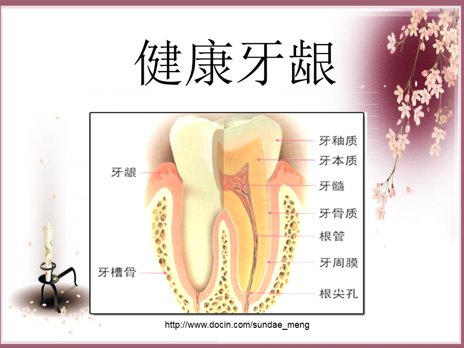 【课件】牙齿保健讲座.ppt_第1页