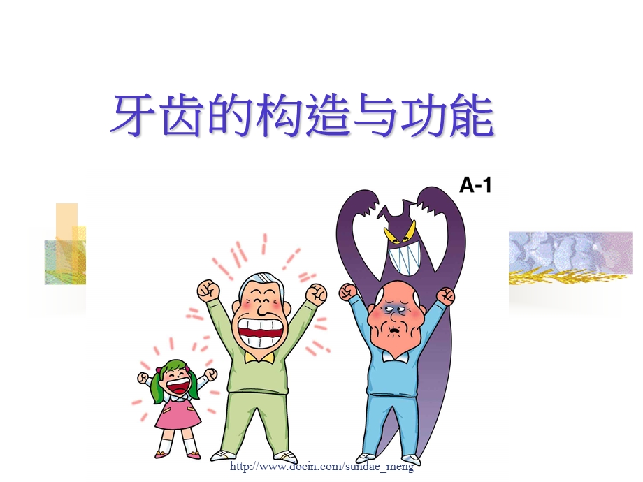 【课件】牙齿的构造与功能.ppt_第1页