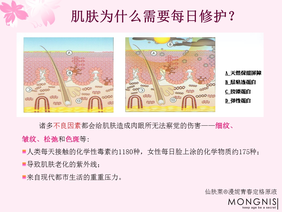 罗麦漫妮青定格原液产品介绍.ppt_第2页