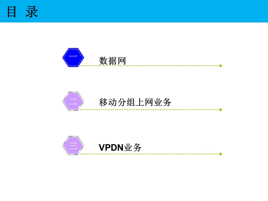 核心网基础知识简介.ppt_第2页