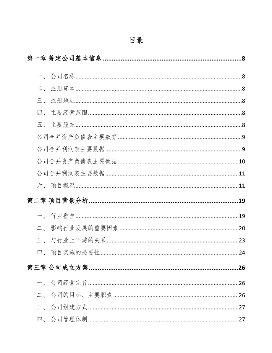 大同关于成立主板公司可行性研究报告.docx_第2页