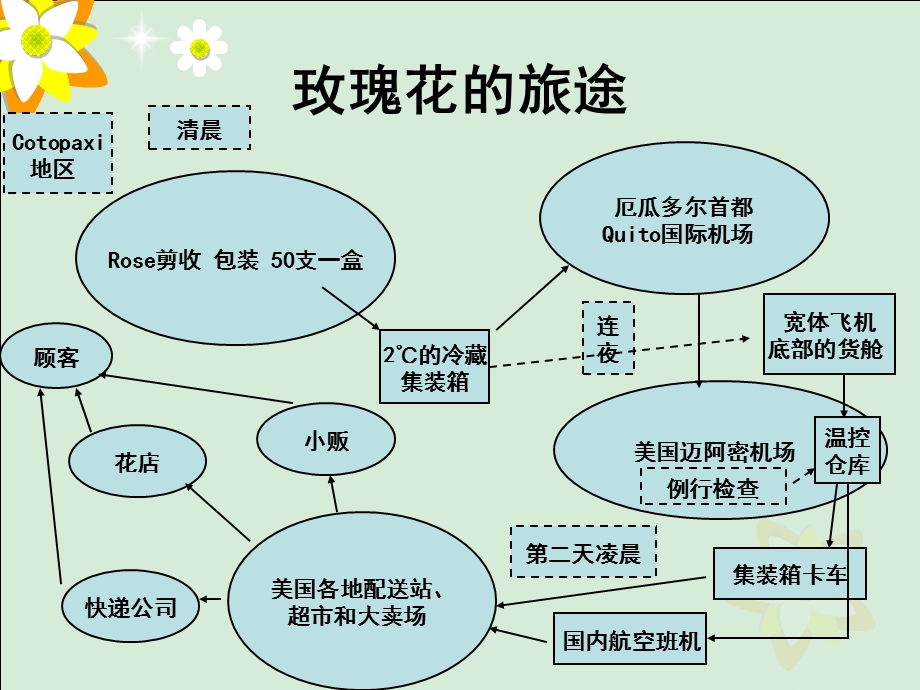 来自厄瓜多尔的玫瑰花.ppt_第3页